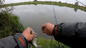 РЫБАЛКА НА ДОНКИ.ОСОБАЯ ТЕХНОЛОГИЯ.КАК ЛОВИТЬ НА ДОНКИ?Рыбалка в сентябре