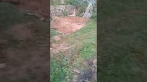 Загрузка пгс трактор т25 Самодельный кун