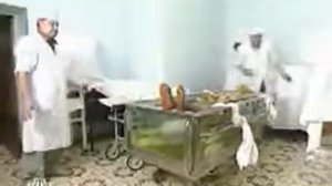 Ухаживают за Лениным расход 14 миллионов год