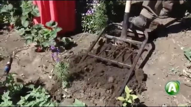 Про ассортимент садового инструмента в Усадьбе (программа В ладу с природой, май 2017) смотреть онлайн