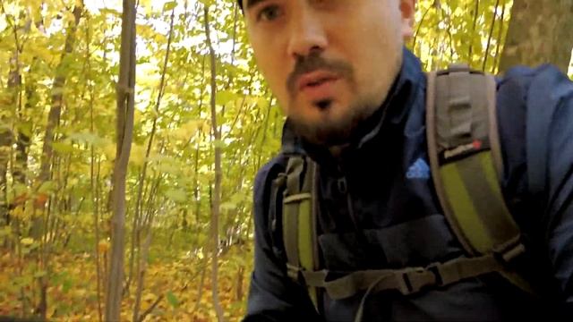 Поход в лес осенью. Собираем листья для поделок #папиновоспитание