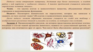 Разбор урока по биологии (5 класс) по теме "Организм-единое целое"