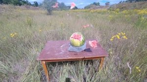 Резиновые пули "Тахо самозахист" против арбузёнка".22* caliber"