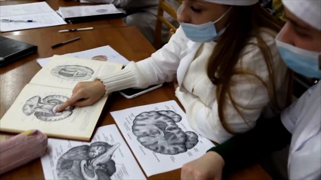 Анатомический музей смотреть онлайн