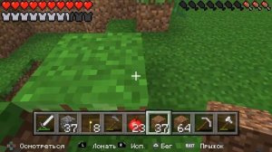 Выживание Minecraft PSP. №15. Листва, два, готово!