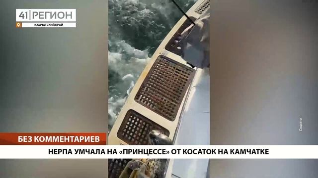 Новости Камчатки за 06 сентября 2023 года