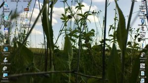 Как выйти из автономного режима в программе steam