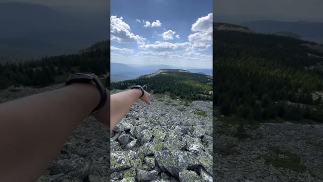 Гора Большой Уван черничный сезон. Южный Урал