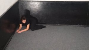 15. Этюд "Я -животное" - Кошка