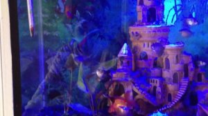 Аквариум с освещением Светодиодным Прожектором  200 литров