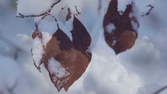 6 Февраля Народный праздник День Аксиньи. Что нельзя делать. Народные приметы, традиции и обряды смотреть онлайн