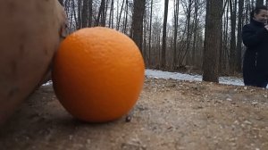 Проверка Пневматический пистолет STALKER SPM (МУСОР УБРАЛИ)