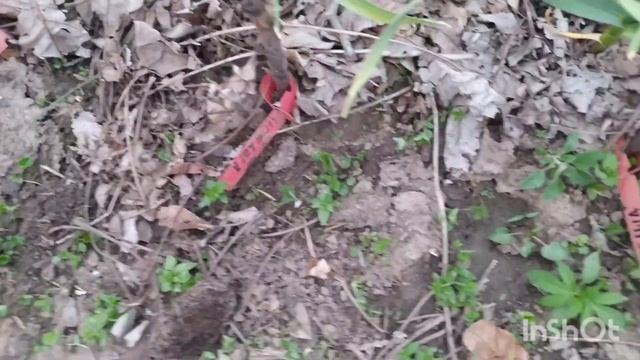 Весна 2021 года...спасаю чеснок от заморозков! смотреть онлайн