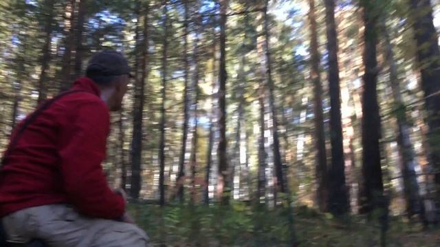 Охота на рябчика смотреть онлайн