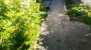 Жёсткий пранк над подругой