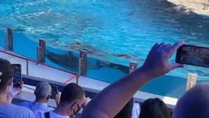 ВЛОГ: НАШ НЕЗАБЫВАЕМЫЙ ОТПУСК В БАТУМИ,  ОТДЫХ СЕМЬЕЙ В ГРУЗИИ