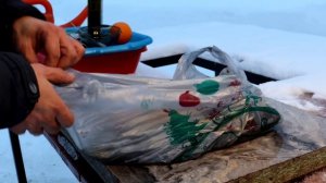 Рыба горячего копчения, которую не надо посолить