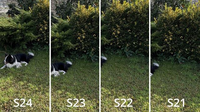Galaxy S24 vs S23 vs S22 vs S21   Camera battle