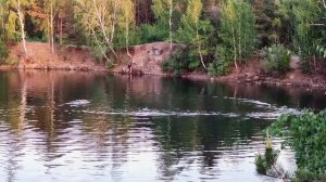 Челябинский парк Гагарина Каменный карьер Купание на закате. 22.05.2021г.