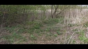 Посадка картофеля ! Уборка участка