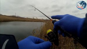 По прудам Сарапульского района #2