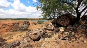 Природный заказник "Кальчикский лес"