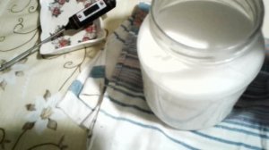Приготовление материнской культуры для закваски сыра. Making cheese starter