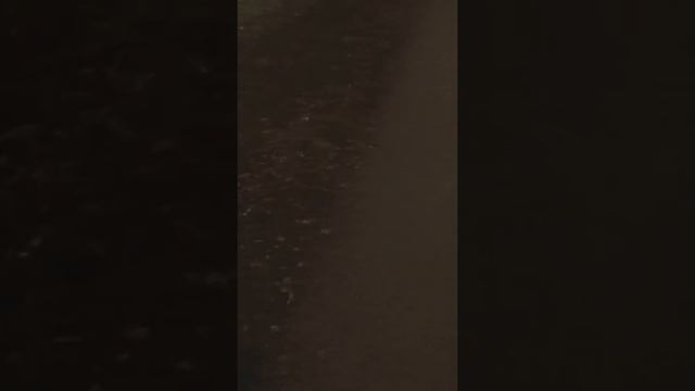 застукал дедушку смотреть онлайн