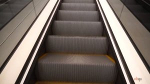 Обзор ЦЕН AUDI Q8 2020/ Ауди Ку8 + Ауди A3, A4 и Новый Ауди Ку7 2020