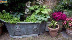 Оформление декоративных клумб / Необычные идеи