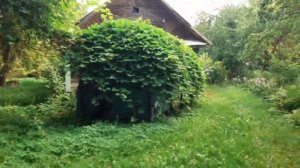БЕЛАРУСЬ//ОБЗОР ДОМА НА ПРОДАЖУ В ДЕРЕВНЕ