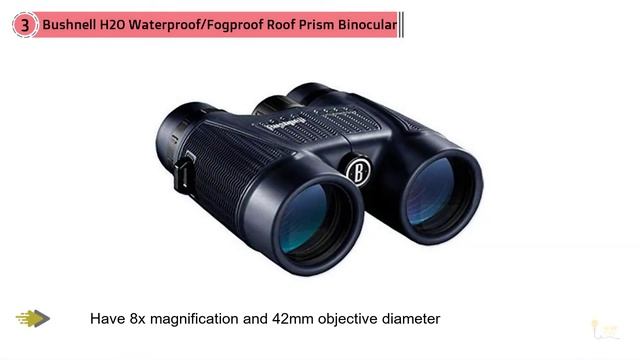 Top 5 Best Compact Binoculars Review in 2023 смотреть онлайн