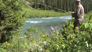 Хариуса -тьма,жор хариуса-адреналин шкалит.