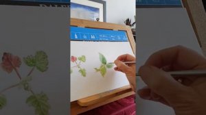 Pulmonaria Foliage Watercolour