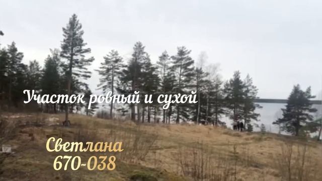 Земельный участок на берегу озера 50 соток