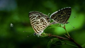 Nikon Coolpix B500 sample photos 2