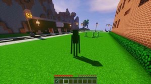 Morph Plugin | Minecraft