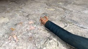 Never Touch SCP-113