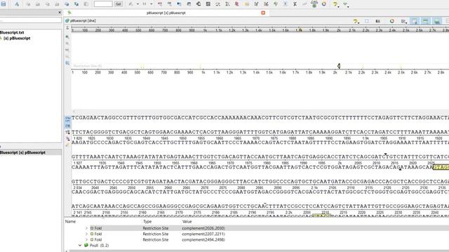 Разбор задачи "Рестриктазы" студ. трека ОНТИ Геномное редактирование смотреть онлайн