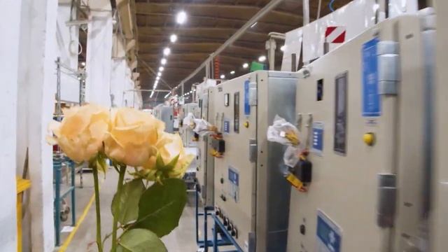 Поздравление сотрудников Электрощит Самара с Медждународным женским днем. смотреть онлайн