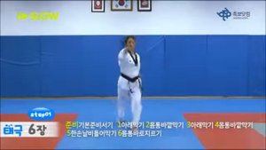 ПХУМСЭ №6 «ТЭГУК ЮК ДЖАН» 2 гып. Taekwondo WT