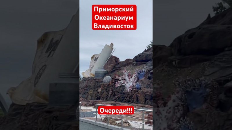 Океанариум                             г. Владивосток