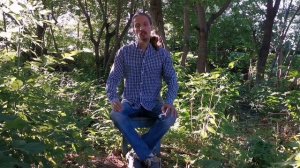 Сила тишины. Как найти ответы на свои вопросы? Почему счастье любит тишину?