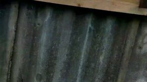 Сенорезка из стиральной машины и болгарки.