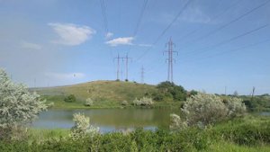🌄Вышла в степь Донецкую Как цветут степи?🌾☘️🌼 Широта просторов, #полевыецветы и море ковыля #донецк