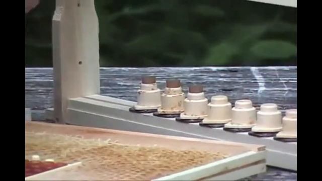 Видео инструкция пользования системой для вывода маток Никот смотреть онлайн