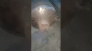 печь для бани из газовых балонов с котлом для воды!