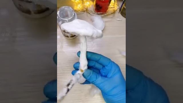 «Грибы подосиновики из ваты» смотреть онлайн