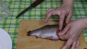Как извлечь желчь из карася?