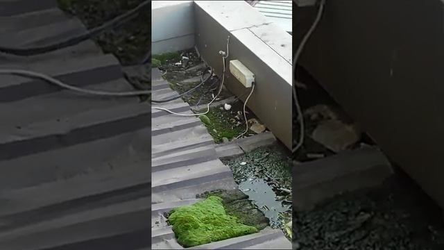 Краснодар МКД ул. Бородинская 10 Состояние навесов смотреть онлайн